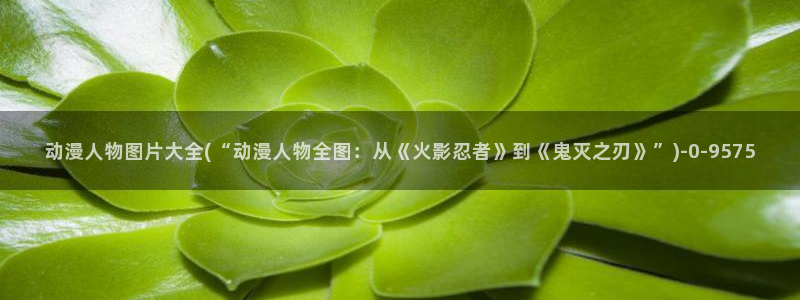星辰动漫